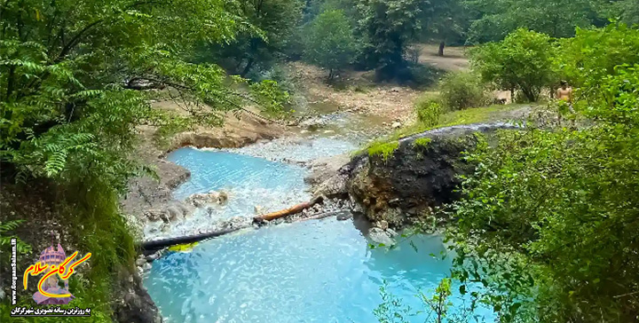 چشمه‌سارهای گلستان مناطق حفاظت‌شده گلستان